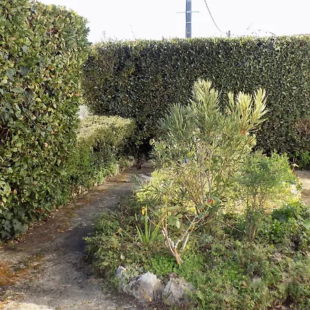 Georges De Didonne - Maison Confortable Au Calme - Pepite En *