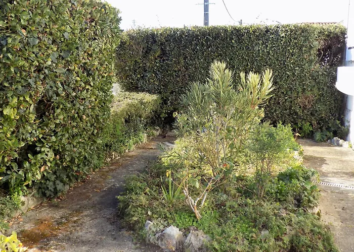 Georges De Didonne - Maison Confortable Au Calme - Pepite En *